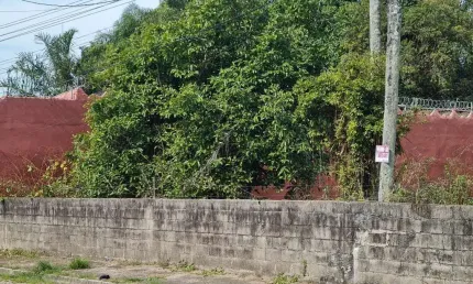 Terreno à venda na Theófilo João Da Mata Filho, Jardim Veneza, Peruíbe