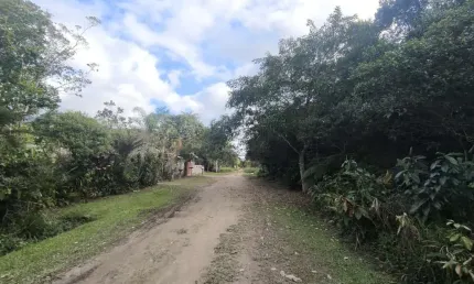 Terreno à venda na Rua Paulino Bento Da Silva - Antiga Rua 1, Guaraú, Peruíbe