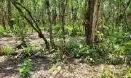 Chácara / sítio à venda no Balneário Gaivota, Itanhaém 