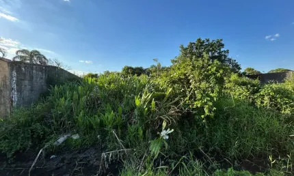 Terreno para Venda em Itanhaém, Jardim das Palmeiras