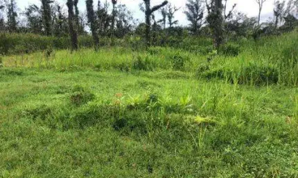Terreno à venda no Jussara, Mongaguá 
