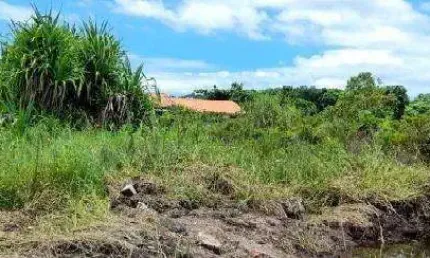 Terreno à venda no Jardim Grandesp, Itanhaém 