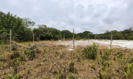 Terreno à venda no Jardim Regina, Itanhaém 