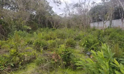 Terreno à venda em Luíza Mar Mirim, Itanhaém 