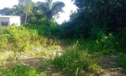 Terreno à venda no Balneário Gaivota, Itanhaém 