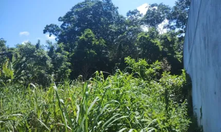 Terreno à venda no Jardim Suarão, Itanhaém 