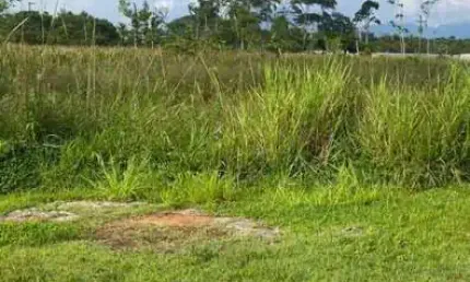 Terreno à venda na Avenida Padre Anchieta, 6840, Jardim Casablanca, Peruíbe