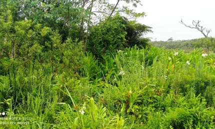 Terreno à venda no Balneário Gaivota, Itanhaém 