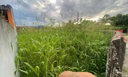 Terreno à venda na Avenida Padre Anchieta, 6840, Balneário São João Batista, Peruíbe