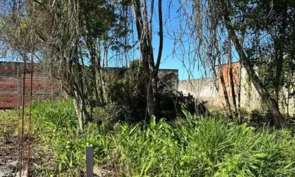 Terreno à venda em Luíza Mar Mirim, Itanhaém 