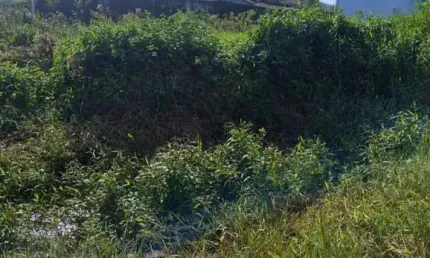 Terreno à venda no Jardim Casablanca, Peruíbe 