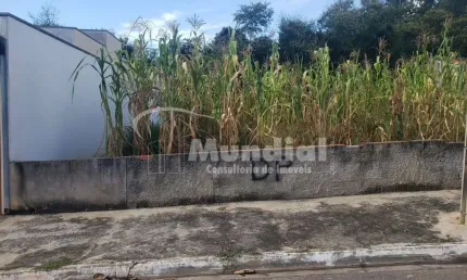 Terreno à venda na Djalma Lúcio Rugolo, Jardim Antônio Rugolo, Laranjal Paulista por R$ 106.750