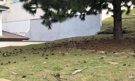 Terreno em condomínio fechado à venda na Alameda Malbec, --, Tamboré, Barueri