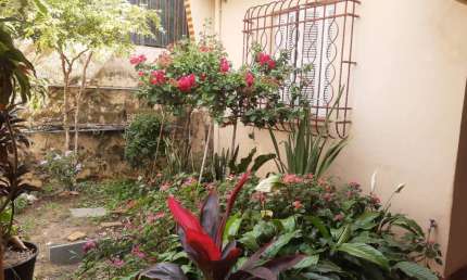 VENDO LINDA CASA TÉRREA - VILA SÔNIA SP! ACESSO FÁCIL AO METRÔ!!!