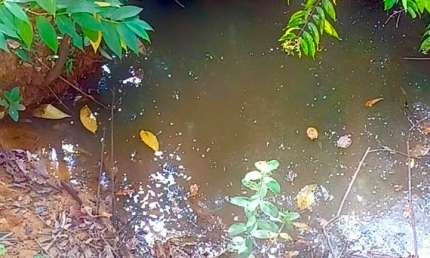 Área 20.000m2, com nascente e córrego. Mata ciliar. Pirenópolis-Go