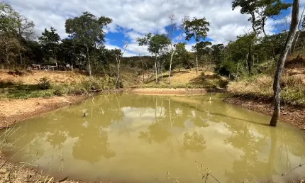 Fazenda 6,5 alqueires goiano, com represa, nascente, capim braquiara, barracão, toda cercada! Pirenópolis-Go
