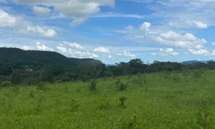 Vendo 2 alqueires com córrego e pastagem. Pirenópolis-Go