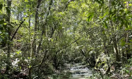 Chácara 5.000m2, com casa, córrego, galinheiro,canil, toda cercada com tela! pirenópolis-goiás