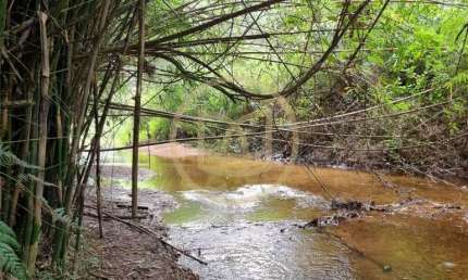 TERRENO, CHÁCARA OU SÍTIO - TIJUQUINAS (GUAPORANGA), BIGUAÇU