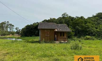 Fazenda à venda na Rod. Mun Agostinho Tomasi, Centro, Siderópolis