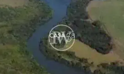 Fazenda à venda em Goiás – 110 alqueires, casa sede e terra de alta qualidade