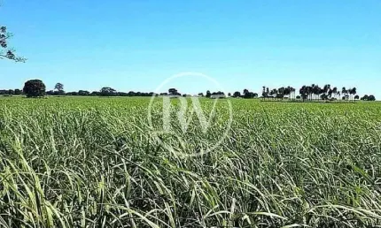 Fazenda à venda na 1, FA0006 RW, Zona Rural, Quirinópolis