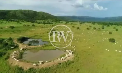 Fazenda de alto padrão à venda – 1.826 alqueires – alvorada do norte/go