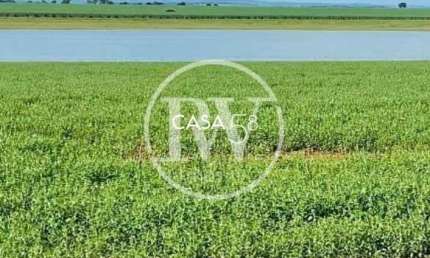 Fazenda à venda,150 alq, Plantando Cana e Soja Próximo a  Gouvelândia, GO