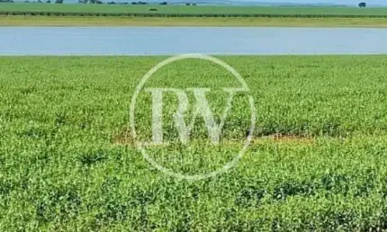 Fazenda de alto padrão à venda – 150 alqueires – gouvelândia/go