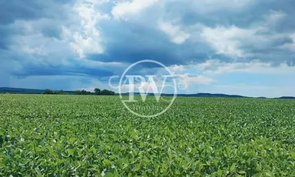 Fazenda à venda em bela vista de goiás – dupla aptidão | 70 alqueires