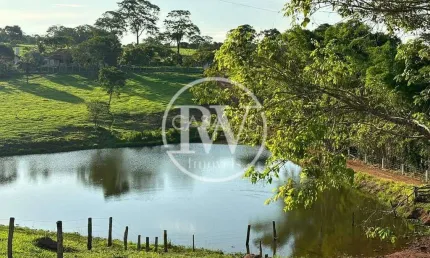 Fazenda à Venda em Trindade – GO | 40 Alqueires com Excelente Infraestrutura