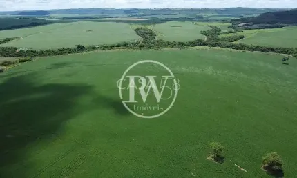 Fazenda à venda em Ouroana - GO | 51 alqueires produtivos próximo a Rio Verde