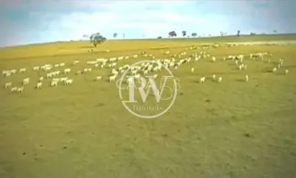 Fazenda à Venda em  Bela Vista de Goiás, GO Capa de Revista
