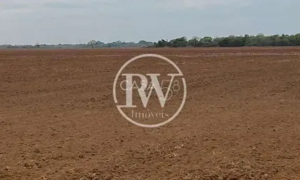 Fazenda à venda em goiás – 201 alqueires, cana-de-açúcar, topografia plana etc.