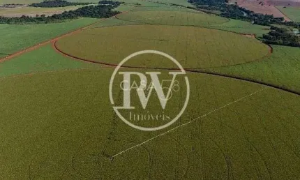 Fazenda irrigada à venda em indiara-go – 195 alqueires, plantando soja
