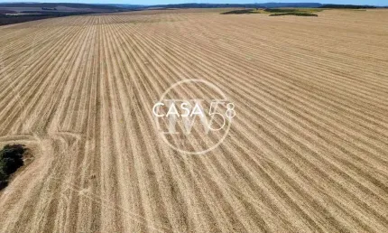 Mega Fazenda de Cana à Venda em São Paulo –5.000 Alqueires Altamente Produtivos