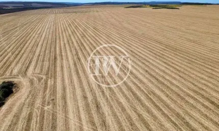 Mega Fazenda de Cana à Venda em São Paulo –5.000 Alqueires Altamente Produtivos