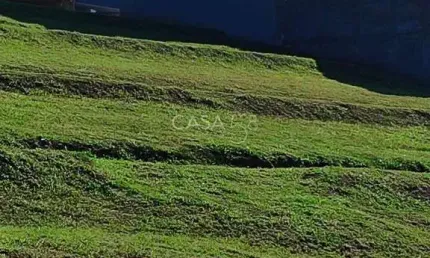 Terreno à venda na Avenida das Flores, Jardins Capri, Senador Canedo