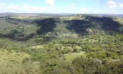Fazenda à venda em bonfinópolis – go | 145 alqueires | plantio + pecuária