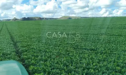 Fazenda à Venda em MineirosGO 126 Alqueires 335 ha em Lavoura Solo de Qualidade