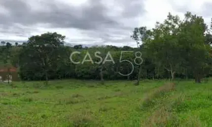 Fazenda à venda em marzagão-go – 240 alqueires | pecuária estruturada