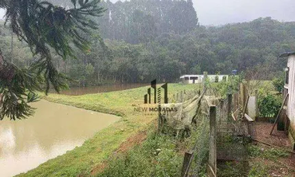 Chácara com 2 casas, à venda, 31464 m² - Centro - Mandirituba/PR