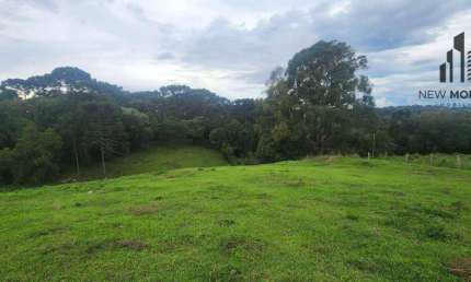 Terreno à venda na Rua Magnólia, Campina da Barra, Araucária