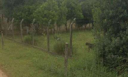 Terreno à venda, 23700 m² por R$ 200.000,00 - Area Rural - São José dos Pinhais/PR