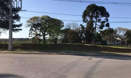 Terreno à venda, 1400 m² por R$ 1.550.000 - Veneza - Fazenda Rio Grande/PR
