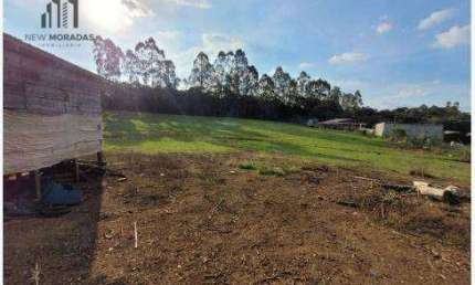 Chácara com 2 dormitórios à venda, 10000 m² por R$ 350.000 - Zona Rural - Tijucas do Sul/PR