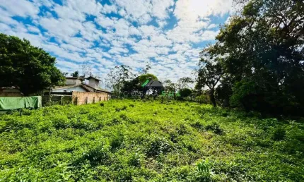 Terreno à Venda – A apenas 600 metros da Lagoa de Ibiraquera/SC