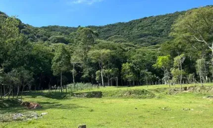 Fazenda à venda na Rua Manoel Antônio Cândido, 1, Enseada de Brito, Palhoça