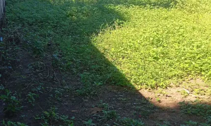 Terreno à venda na Rua Romualdo Silveira, Vila Cajueiro, Cariacica, 850 m2 por R$ 120.000