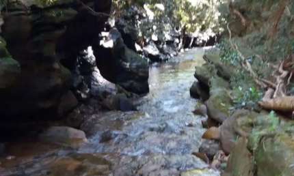 Chácara / sítio com 1 quarto à venda na Rua do Gaia, 123, Siderúrgica, Sabará